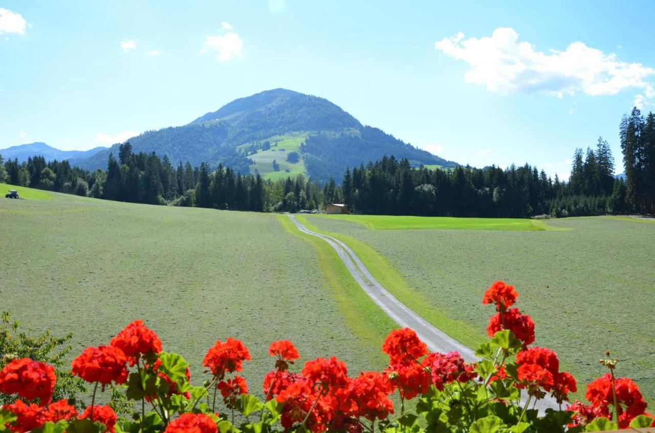 Pension Woetzinghof Кирхберг Экстерьер фото