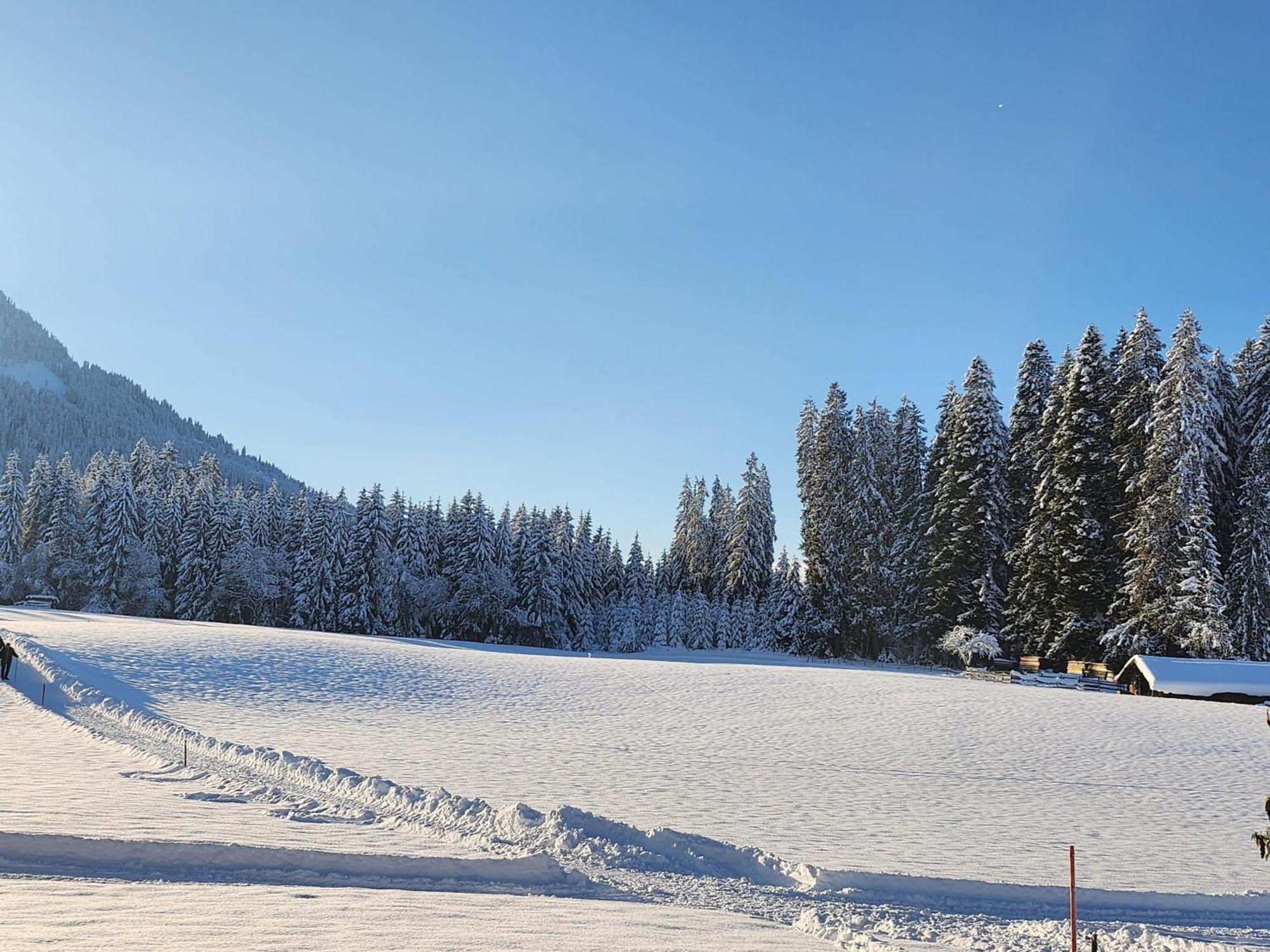 Pension Woetzinghof Кирхберг Экстерьер фото
