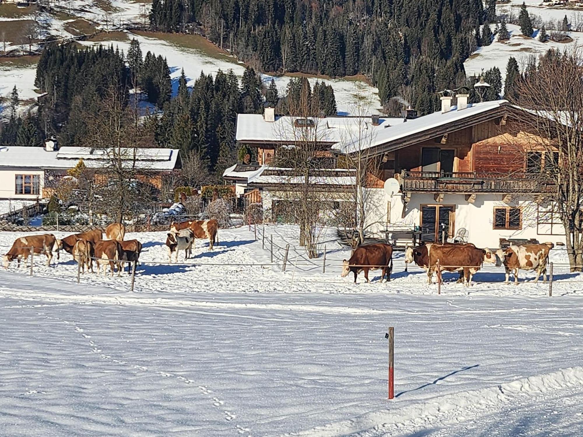Pension Woetzinghof Кирхберг Экстерьер фото